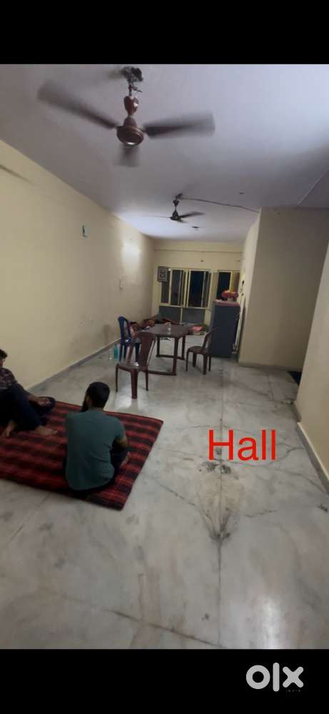 Room mates or flat mates wanted