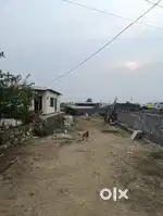 Money required