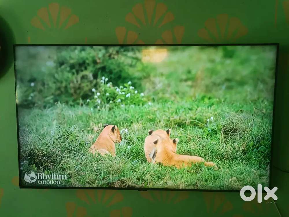 Samsung TV 55 inch TV full condition vary good