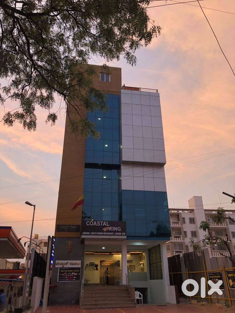 Captains and Stewards