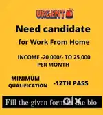 Free lancing & online work