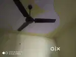 1BHK Room for rent
