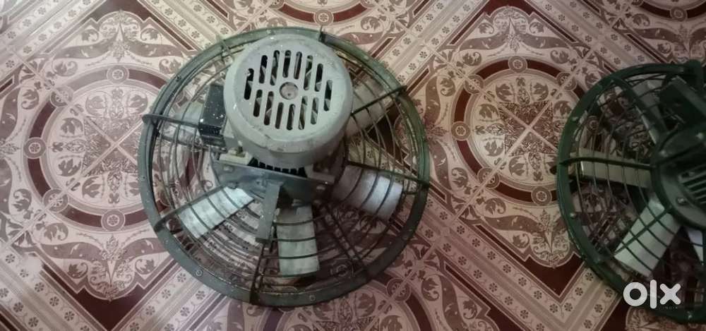 Fan  almond 1 hpvsiben