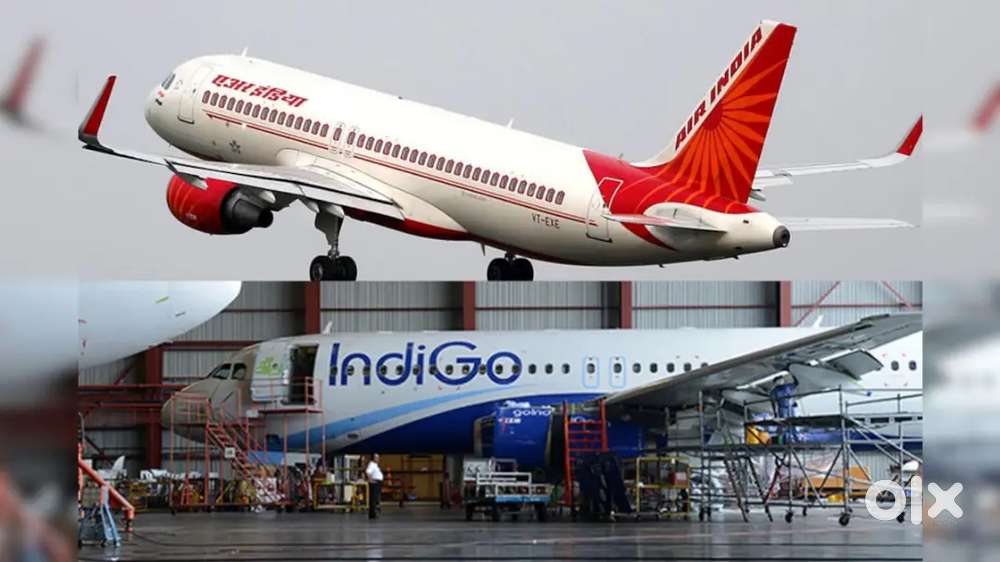 Cabin Crew/ Airport Ground Staff Jobs in Indigo Airport