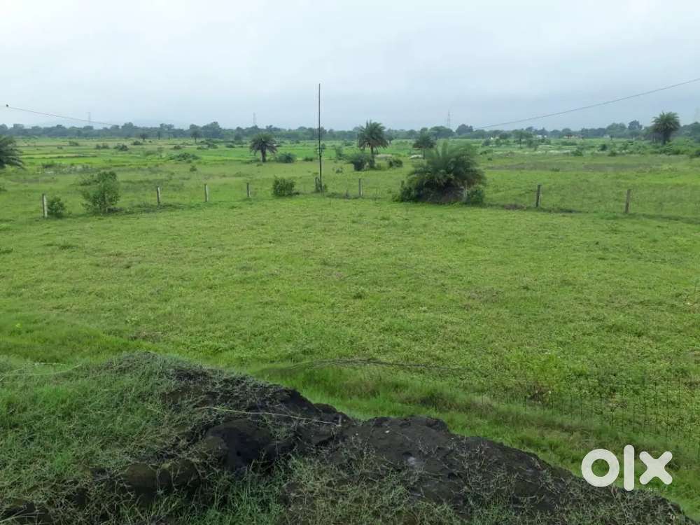 buying 10 to 12 acar of farmland in Dhenkanal  upto 7 lakhs per acar