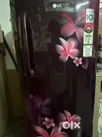 LG fridge 220 liters 5 star rating