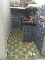 Only female or student