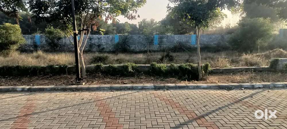 Aisa mauka baar baar nahi aata