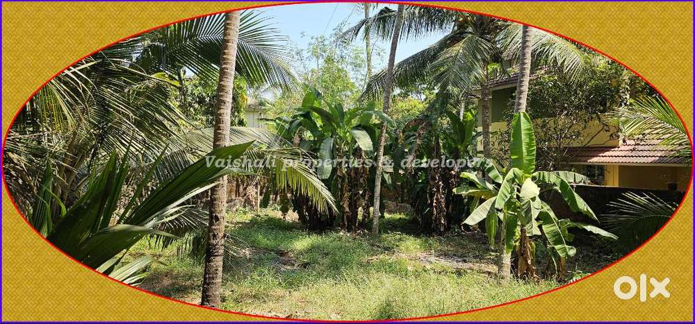 9 cents Residential/Commercial plot for SALE in near Puthiyara