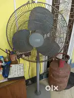 Stand Fan USHA