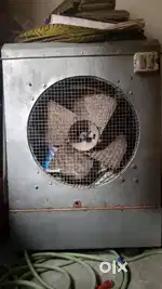 Big size cooler