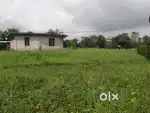 51 Marla Roadside Plot for Sale – Sagoor Baijnath, Kangra (Himachal)