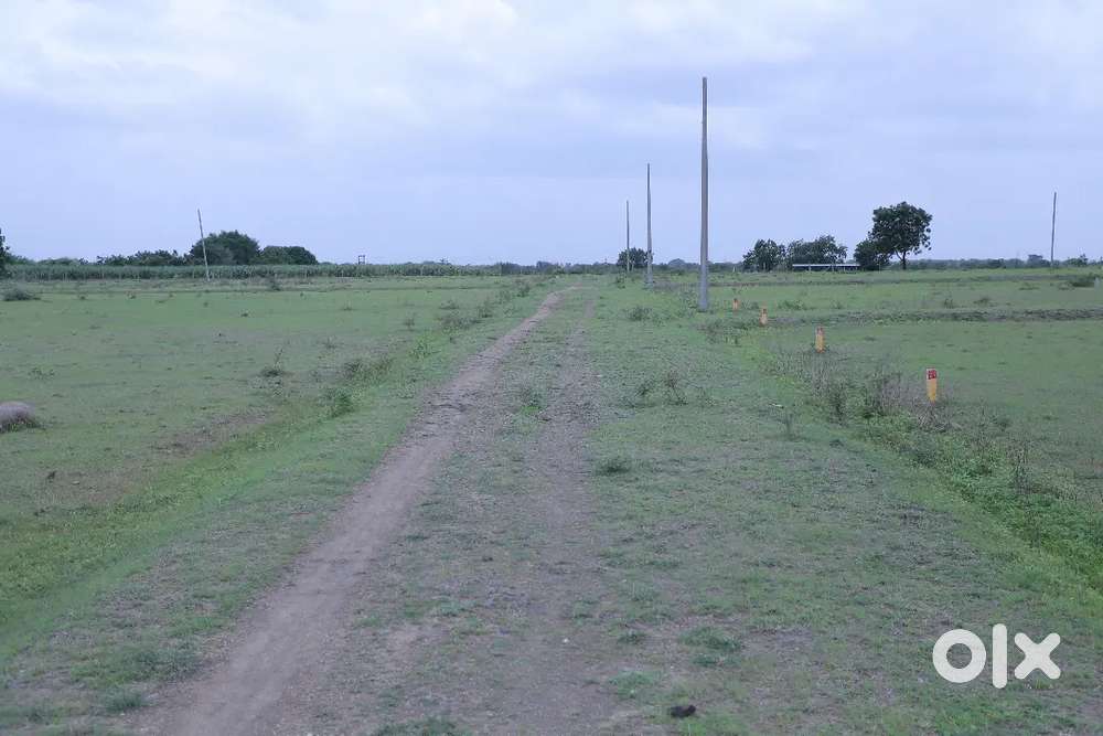 N.A Collector Final layout plot for sale low rate
