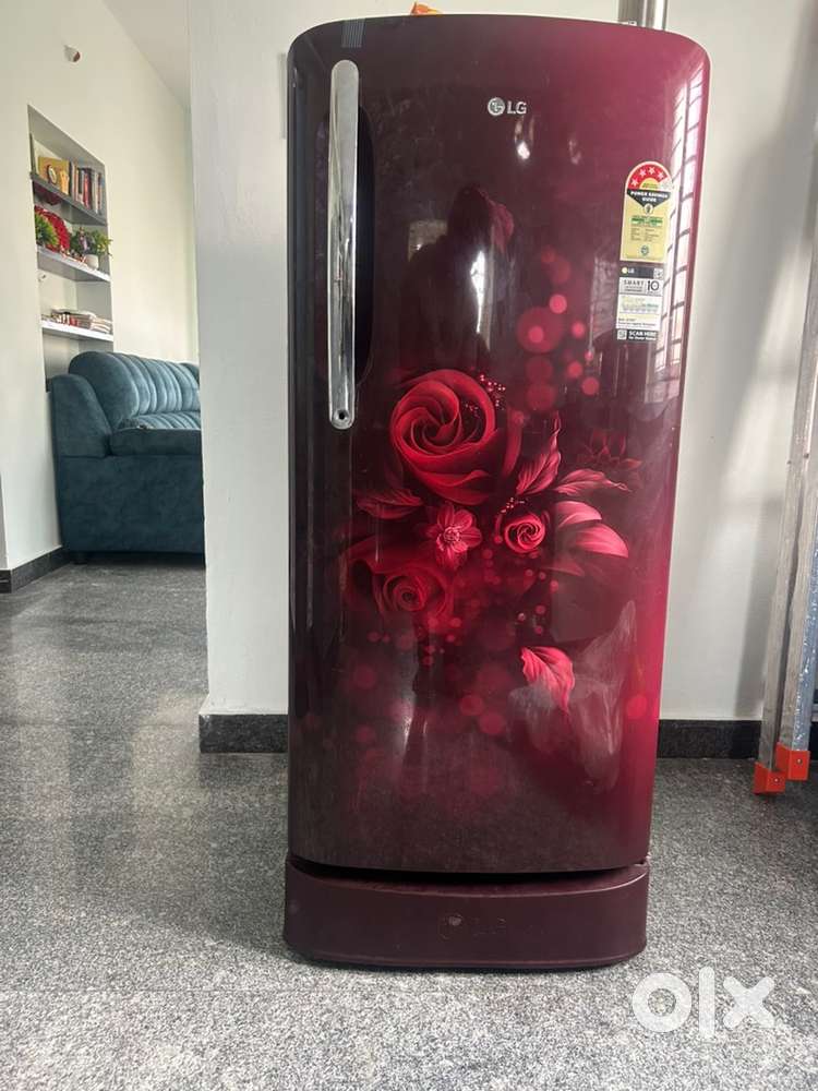 LG  4 Star  GL-D211HSEY/2023