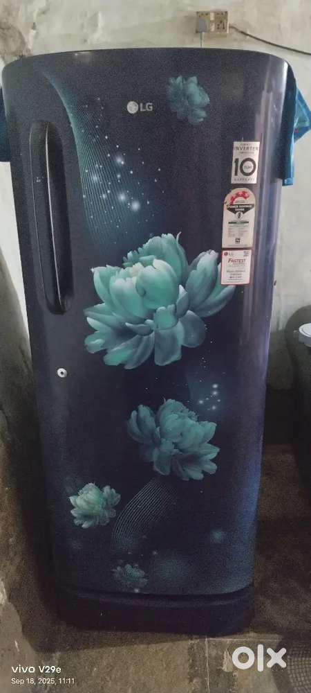 Lg fridge fridge