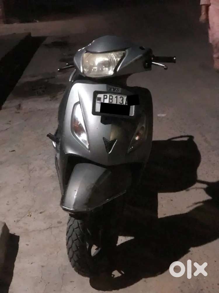 Good condition scutry