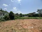 15 CENT HOUSE PLOT FOR SALE IN PAYYAMPALLY