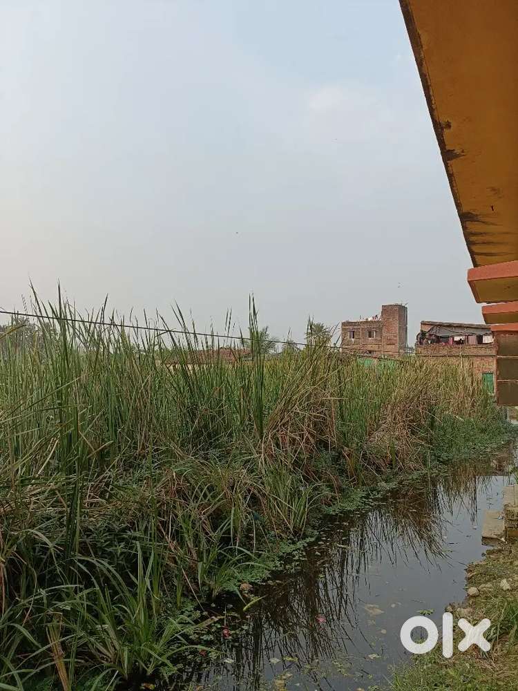 2 Katta Land Sell Location Sontoshpur station se srif 10 minutes