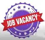 Office work only 100% job confirm