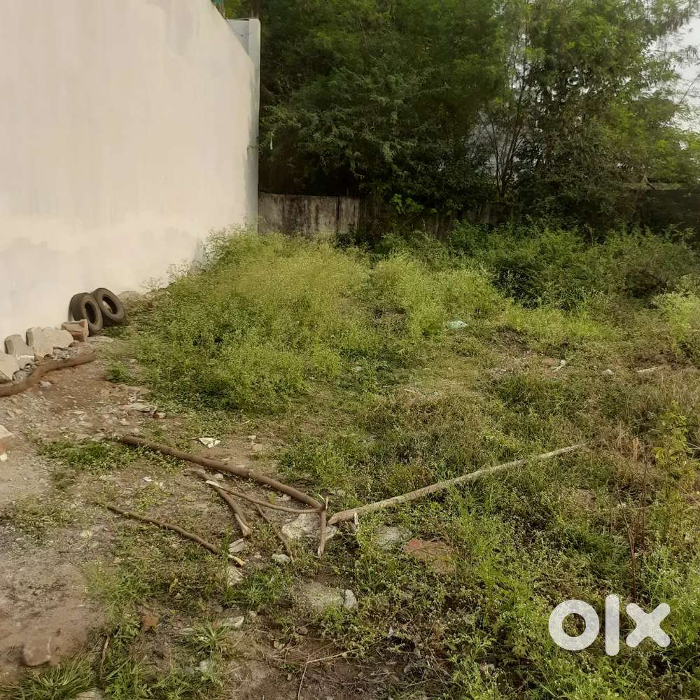 Plot sell in great location mangaliya,100 meter from AB road