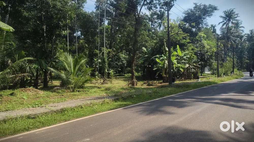 25 cent Chittariparamba