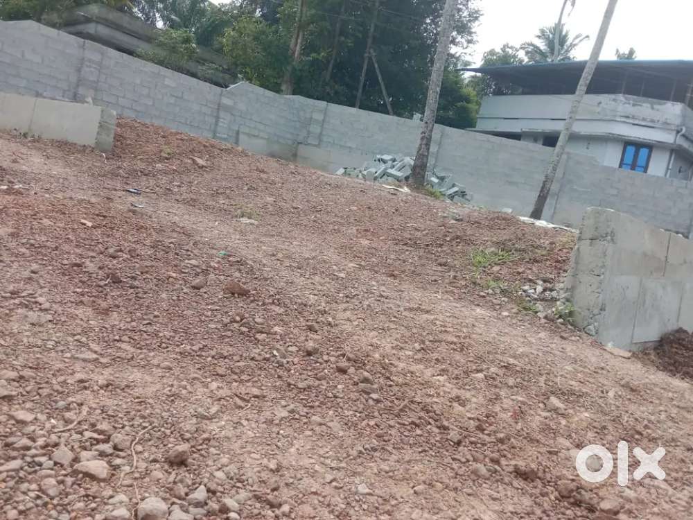 Sreekaryam anandheswaram Scottish school near 5cent plot