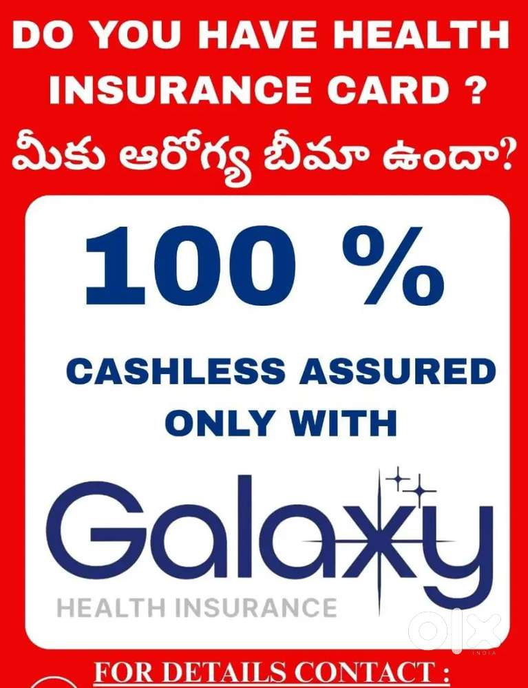 Senior Business Manager