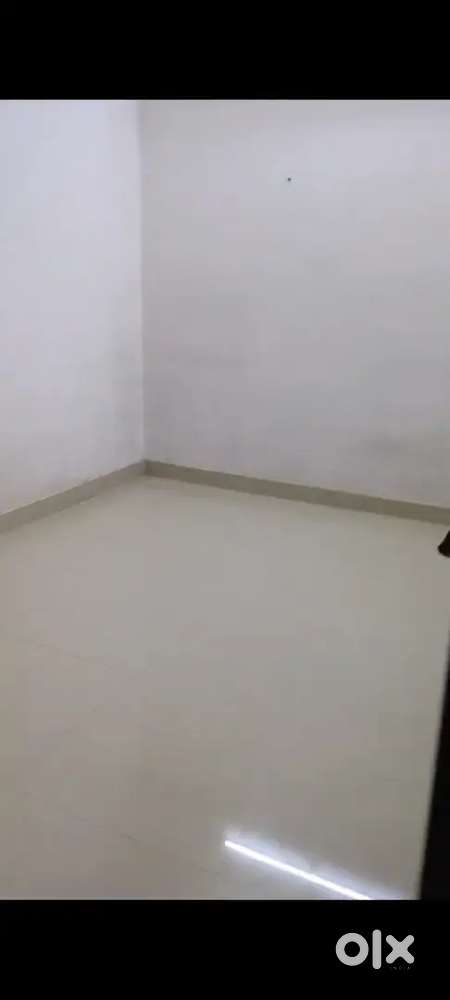 Required 3 female bachlor