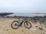 Electric cycle