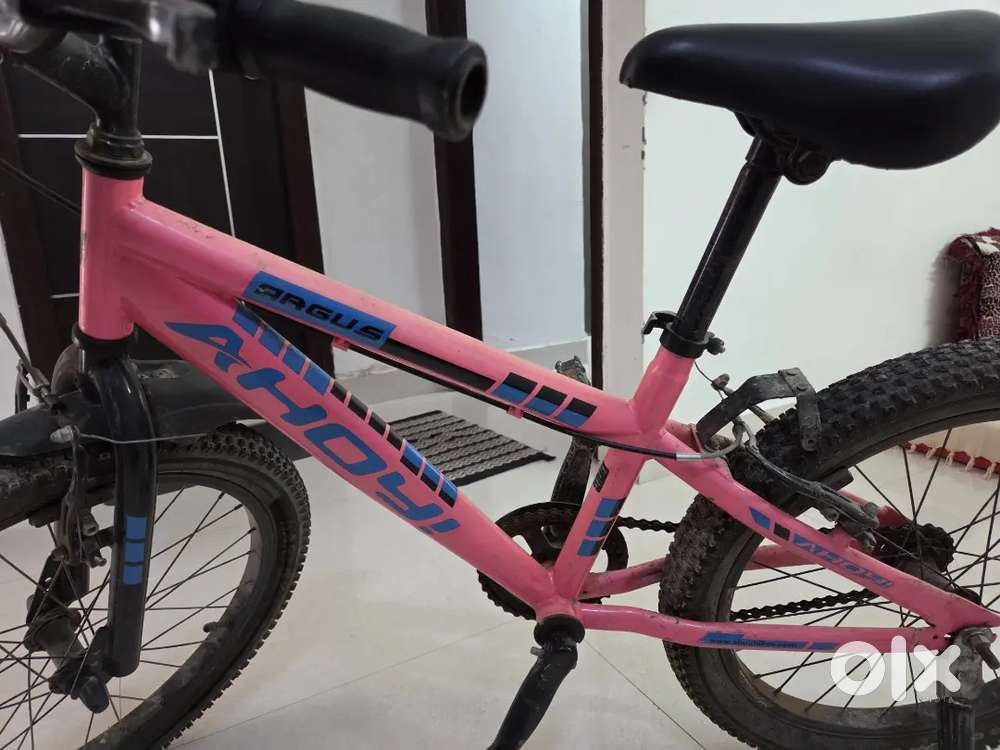 Ahoy Kids Bicycle