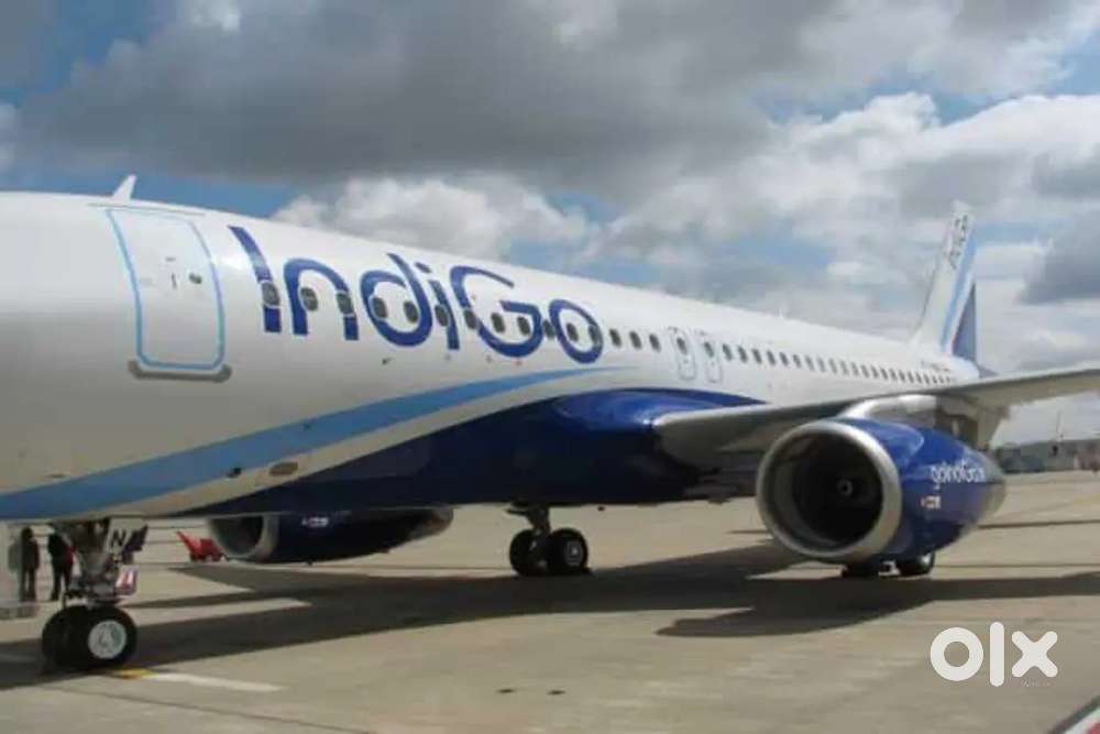 Cabin Crew/ Airport Ground Staff Jobs in Indigo Airpor