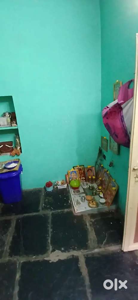 One cent 100 links house for sale