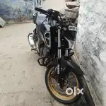 Fzs v4 black gold 2024
