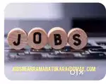 Accountant assistant , Excel and tally