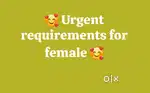 Tellicaller work from home urgent requirements for female