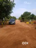 121 SQYDS FOR 5 LAKHS in mango garden farmland