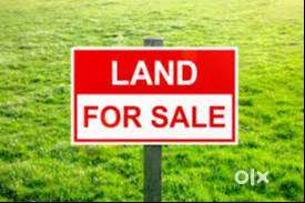 Land for immidiate urgent sales vadakara chorod