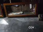 Looking glass