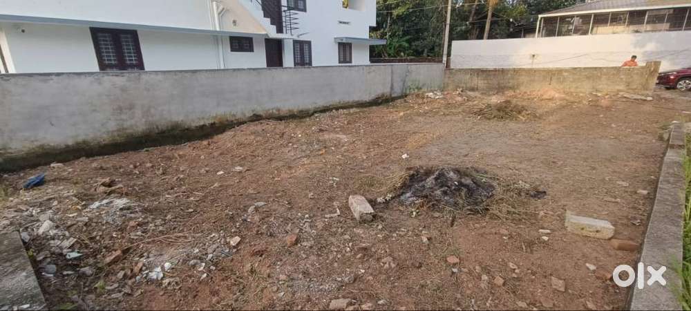 (IDB-207621) 4.8 Cent Dry Land For sale at Karamana