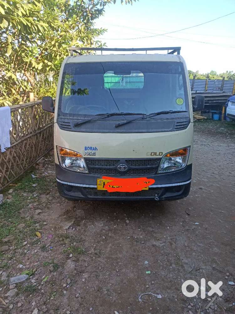 Tata ace  cx gold petrol
