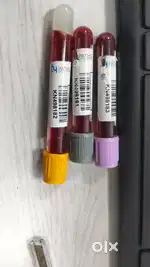 Phelbotomist