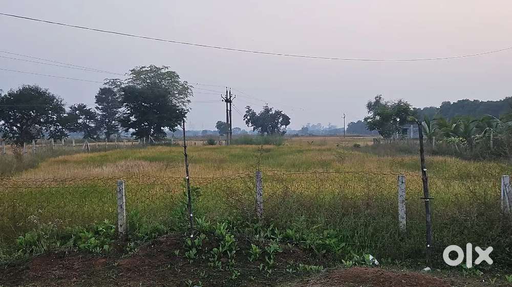 नगपुरा में शगुन फॉर्म हाउस और जंगल हाउस से थोड़ा पहले 3 एकड़ खेत उपलब्ध