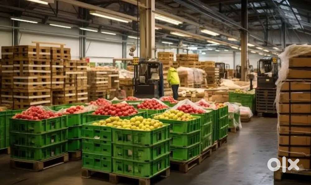 WANTED MALE PACKING HELPERS WITH DAILY 700 SALARY