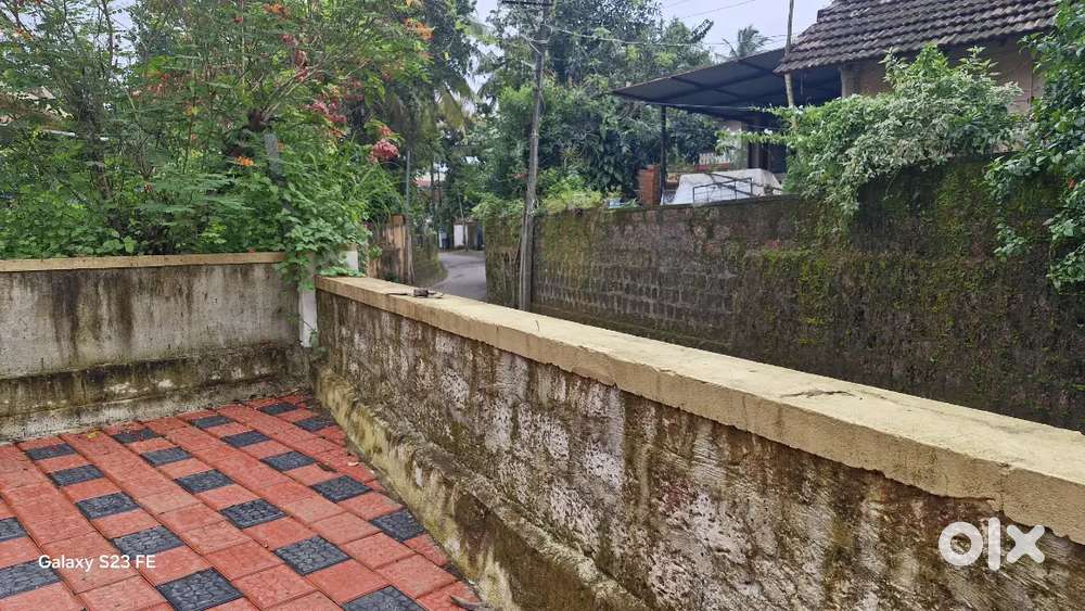 Indpendent house with six cents land