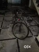 Cycle for sale