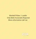 Wanted Picker Loader - Nigdi