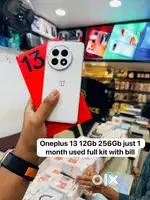 Vip gadgets oneplus 13 12gb 256gb