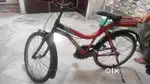 Cycle 16 inch