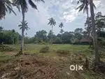 55 Cent Residential Land for Sale – Olanadu Kongorpilly Road Frontage
