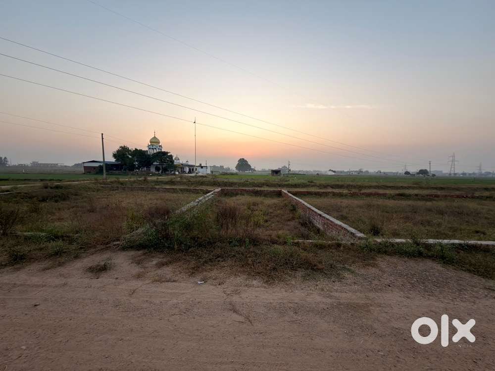 Small Size Budget Friendly Plots